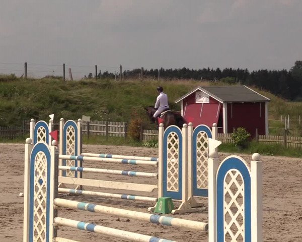 Reitturnier Schülp / Rendsburg 2021