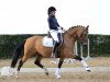 dressage horse Cremant de Luxe (German Riding Pony, 2005, from FS Champion de Luxe)