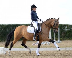 dressage horse Cremant de Luxe (German Riding Pony, 2005, from FS Champion de Luxe)