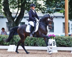 stallion Balotelli (German Riding Pony, 2010, from Benetton S)