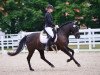 dressage horse I Love Black (German Riding Pony, 2006, from Veivel R)