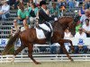 dressage horse Charlie Brown (German Riding Pony, 2010, from Constantin)