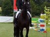 dressage horse Horatius (Rhinelander, 2004, from His Highness)