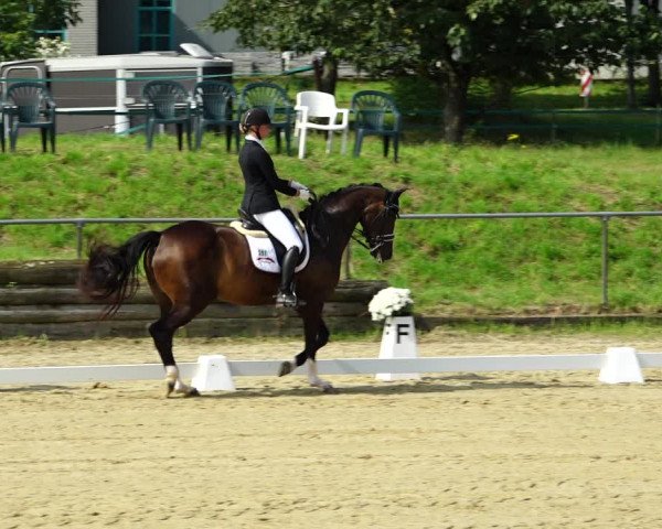 Reitturnier Kirchhoven-Vinn 2021