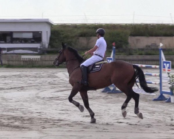 Reitturnier Schülp / Rendsburg 2021