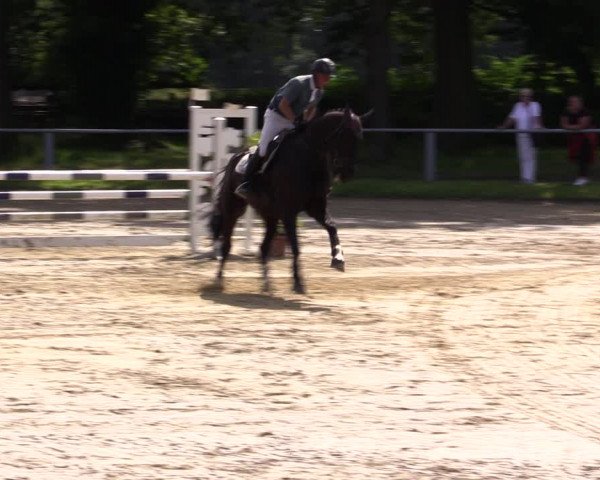 Reitturnier Datteln 2021