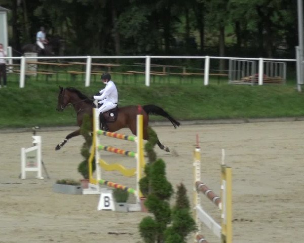Bergisch Classics - Bergisch Gladbach - Springen 2021