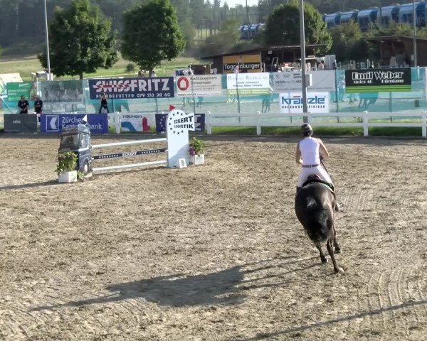 Pferdesporttage Rafzerfeld - Hüntwangen 2021