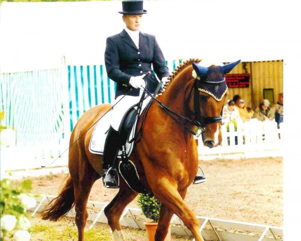 dressage horse Petit Paul (Zweibrücken, 1997, from Perlenfischer)