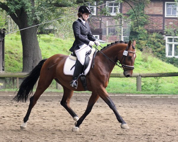 dressage horse Wendulan (German Sport Horse, 2007, from Welz)