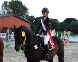 jumper Funke 18 (Welsh Partbred, 2002, from Valentino)