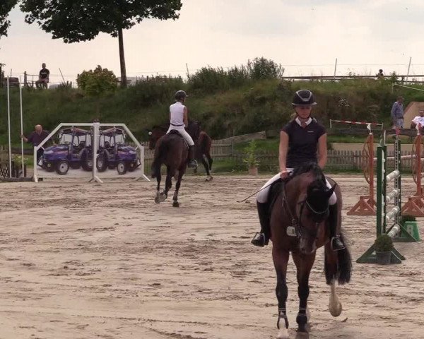 Reitturnier Schülp / Rendsburg 2021