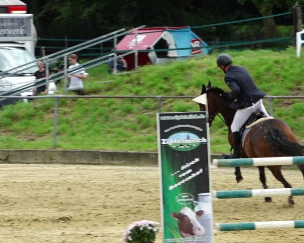 Reitturnier Kirchhoven-Vinn 2021