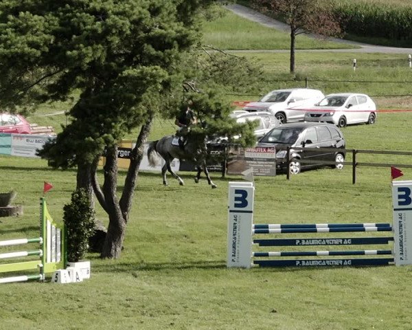 Springkonkurrenz Aadorf 2021