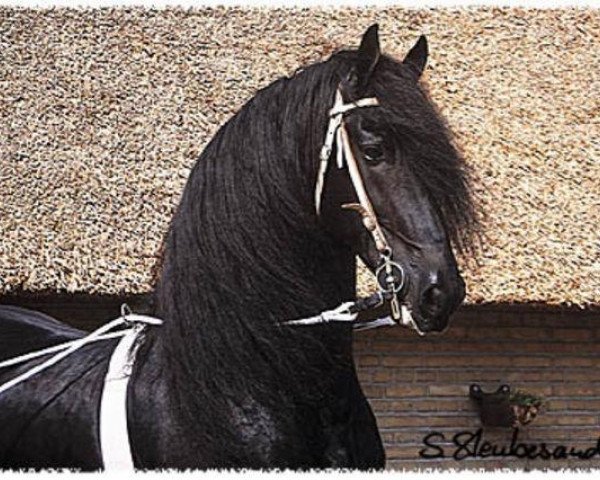 stallion Leffert 306 (Dutch Warmblood, 1986, from Tamme 276)