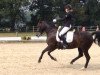 dressage horse Horatio (German Riding Pony, 2000, from Henry)