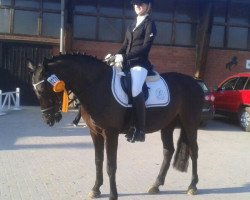 broodmare Pokerface 41 (German Riding Pony, 2006, from Potter)