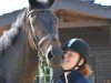 dressage horse Sjenna (Rhinelander, 2010, from Sandro Hit)