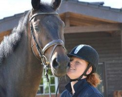 dressage horse Sjenna (Rhinelander, 2010, from Sandro Hit)