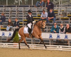 broodmare Coco Chanel von Alzey (German Riding Pony, 2011, from Fs Coco Jambo)