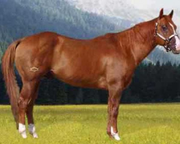 stallion Tejons Little Johnny (Quarter Horse, 1990, from Peppy San Badger)