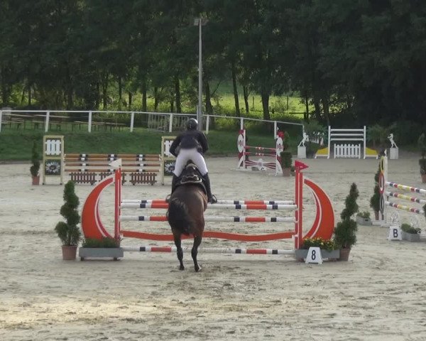 Bergisch Classics - Bergisch Gladbach - Springen 2021