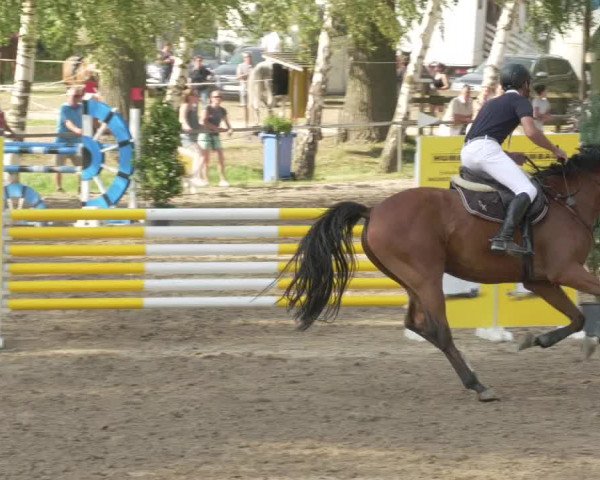 Springturnier und Reiterfest Königsbach 2021