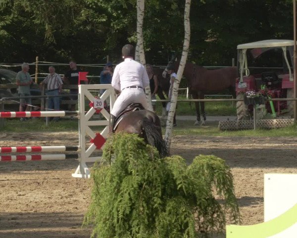 Springturnier und Reiterfest Königsbach 2021