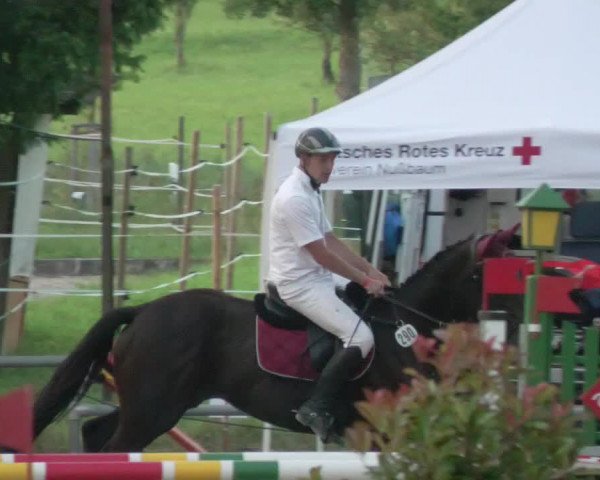 Springturnier und Reiterfest Königsbach 2021