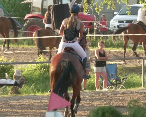 Springturnier und Reiterfest Königsbach 2021