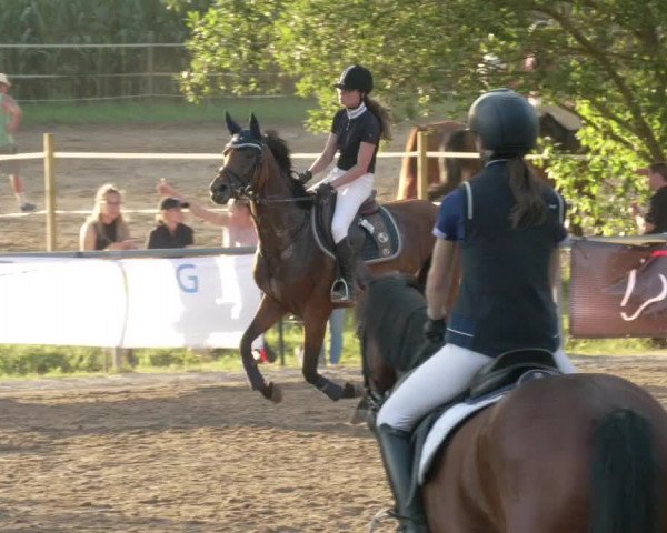 Springturnier und Reiterfest Königsbach 2021