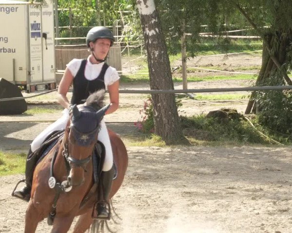 Springturnier und Reiterfest Königsbach 2021