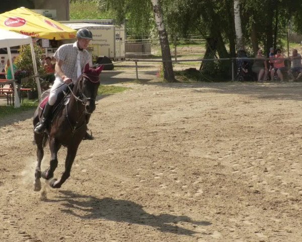 Springturnier und Reiterfest Königsbach 2021