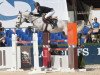 jumper Sadesso (Oldenburg show jumper, 2007, from Sandro Boy)