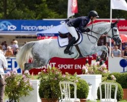 jumper Cavalia (KWPN (Royal Dutch Sporthorse), 2007, from Vingino)