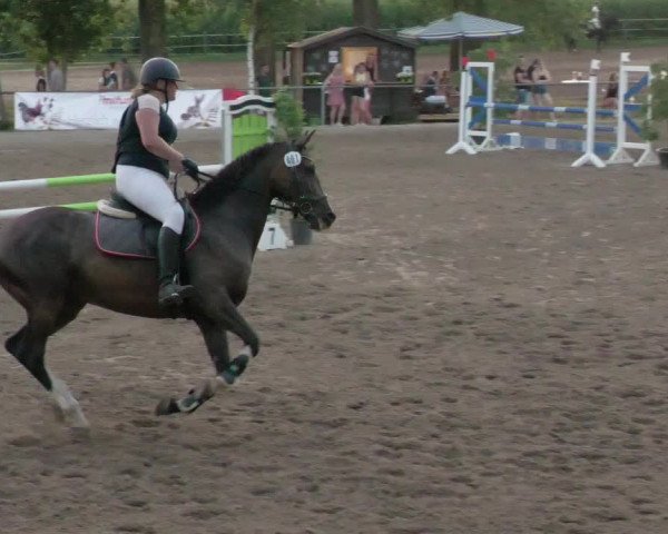 Springturnier und Reiterfest Königsbach 2021