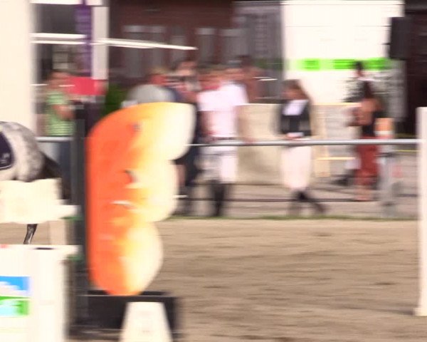 Reitturnier Datteln 2021