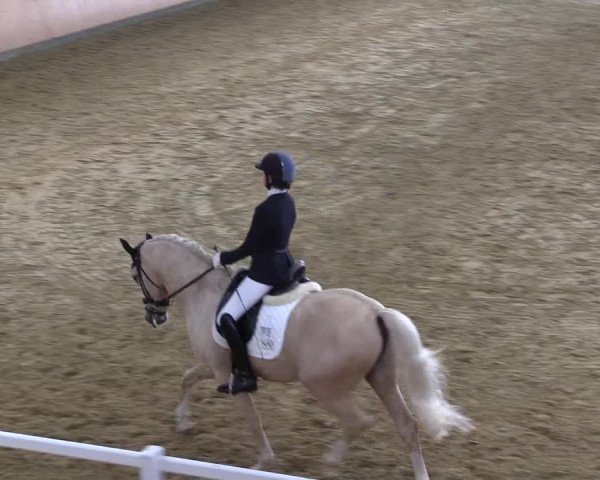 Reitturnier Datteln 2021