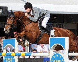 jumper Carthageno Z (Zangersheide riding horse, 2005, from Carthino Z)