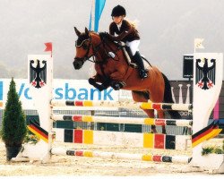 jumper Sulaatik's Cinnamon (New Forest Pony, 2005, from Wayland Cranberry)