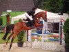 broodmare Nevada BE (German Riding Pony, 2008, from Nashville WH)