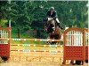 jumper Gandalf van de Haarterhoeve (Belgian Warmblood, 2006, from Cartier 187 FIN)