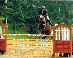 Springpferd Gandalf van de Haarterhoeve (Belgisches Warmblut, 2006, von Cartier 187 FIN)