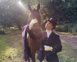 dressage horse Pirouette VII (Trakehner, 1996, from Lehndorff's)