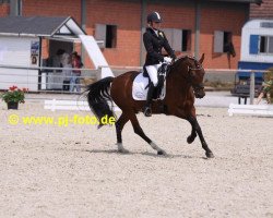 dressage horse Datanjoun (German Riding Pony, 1998, from Dressman Junior)