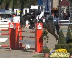 broodmare Que Sera (Hanoverian, 2006, from Quidam's Rubin)