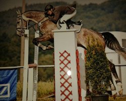 jumper Chapeau 4 (Holsteiner, 2006, from Claudio)