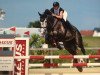 jumper Casisto (German Sport Horse, 2009, from Cascari)