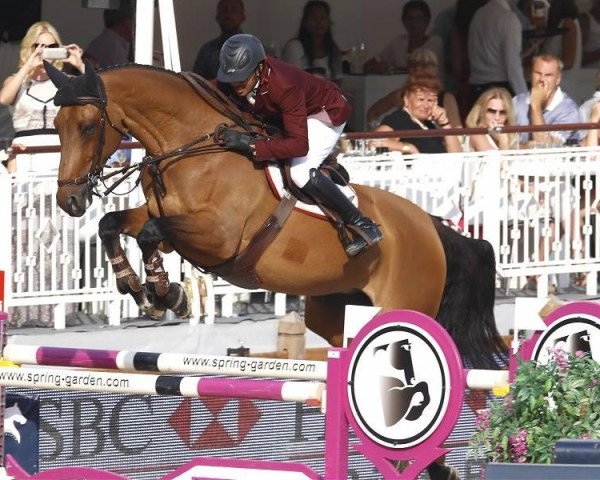 broodmare Victoria (KWPN (Royal Dutch Sporthorse), 2002, from Tangelo van de Zuuthoeve)
