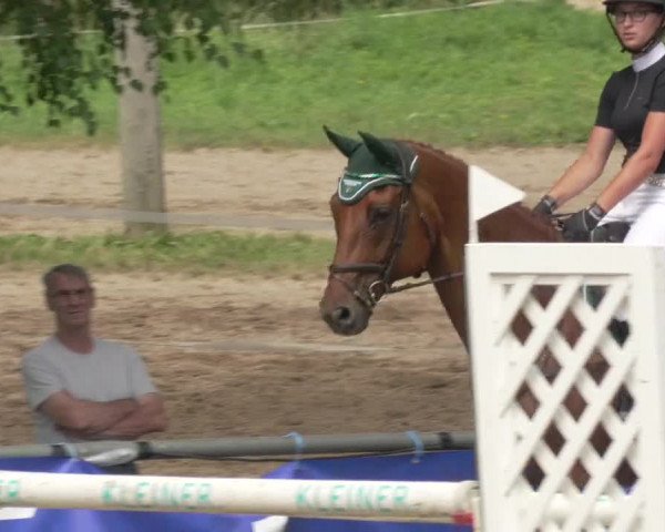 Springturnier und Reiterfest Königsbach 2021